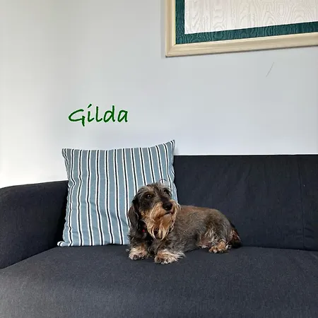 Casa Di Gilda * Ospedaletti