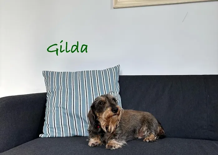 Casa Di Gilda * Ospedaletti